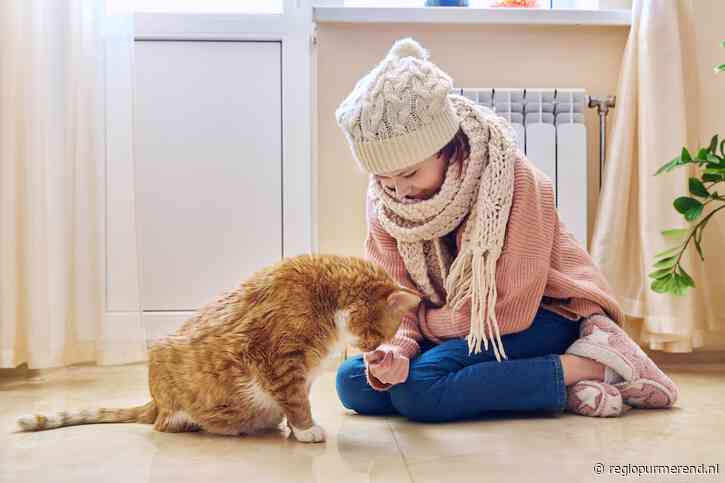 Tweede kamer debatteert op 21 september over energietoeslag 2023 voor lage inkomens