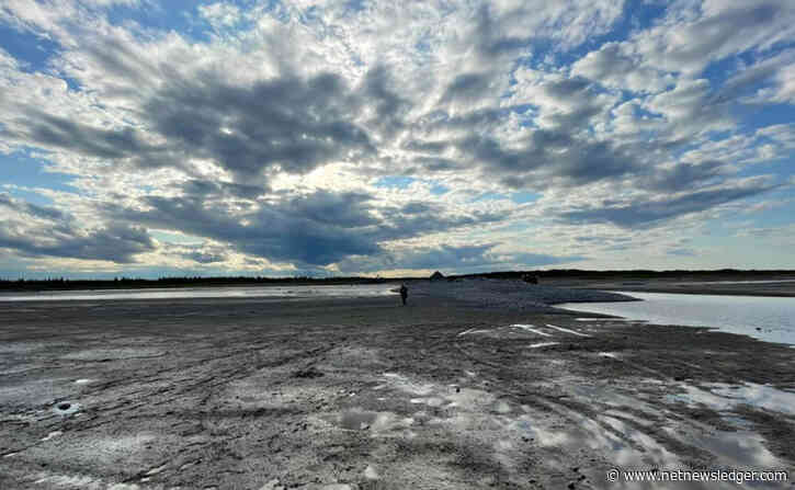Weather: Wasaho Cree Nation: A Chilly Morning, Mix of Sun and Cloud, and a Sunny Outlook