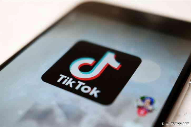 TikTok fined $368M over mishandling children's privacy in EU 