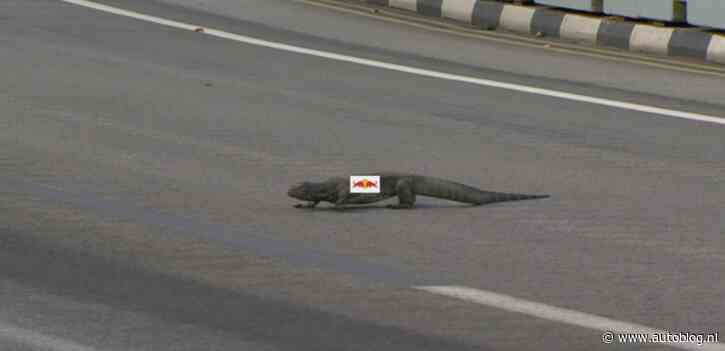 Uitslag Formule 1: Grand Prix van Singapore 2023