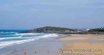 Tourists rage at West Country beach as trip spoiled by 'out of control dogs'