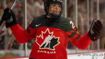What does the new PWHL mean for women's hockey? A guide for those who aren't fans — yet