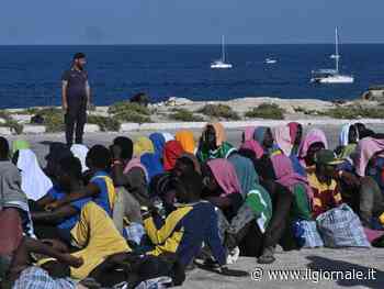 "Politica Schlein strumentale". FdI svela la strategia Pd pro-migrazioni