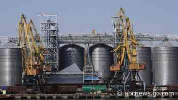 First two cargo ships arrive in Ukrainian port after Russia's exit from grain deal