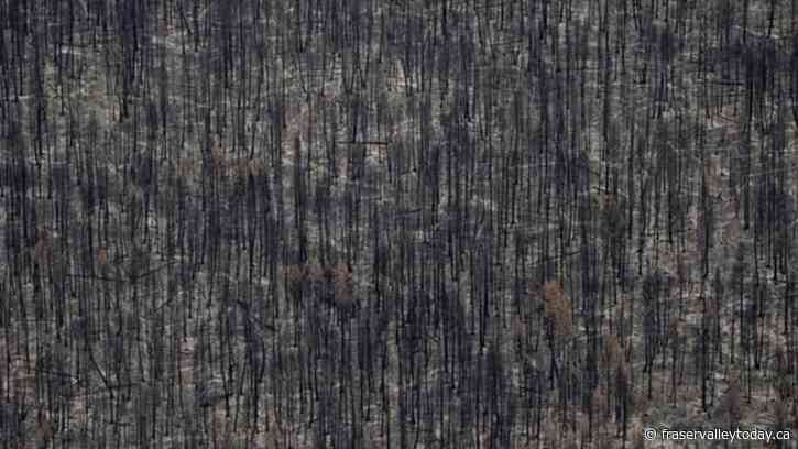 Evacuation order issued in central B.C., more than 400 wildfires burn across province