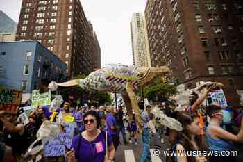 Climate Protesters in New York and Across the Globe Send Message to United Nations