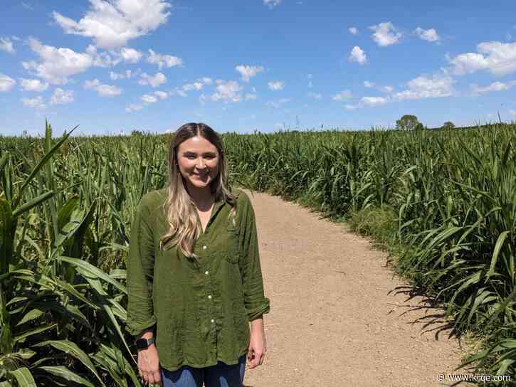 La Union Maze getting ready for another season of family fun, making memories