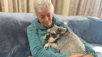 Lyn Read lost $50,000 in a scam, money she needs to pay for her funeral