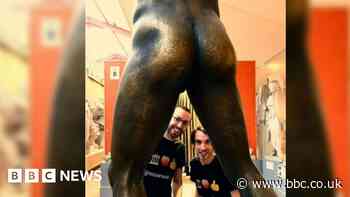 Social media account about bums in art leads to published book
