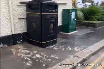 'Absolutely disgusting' scenes as 'poo everywhere' after West Country toilets drain overflows