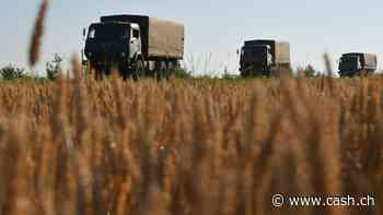 Ukraine will Polen, Ungarn und Slowakei wegen Getreide-Importstopp verklagen