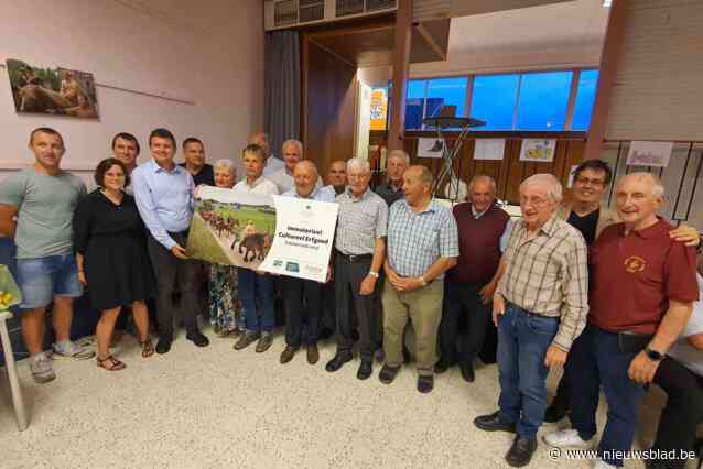 Erkende Paardenprocessie  krijgt nu ook een standbeeld: “Zo is Kester elke dag een beetje in feeststemming”