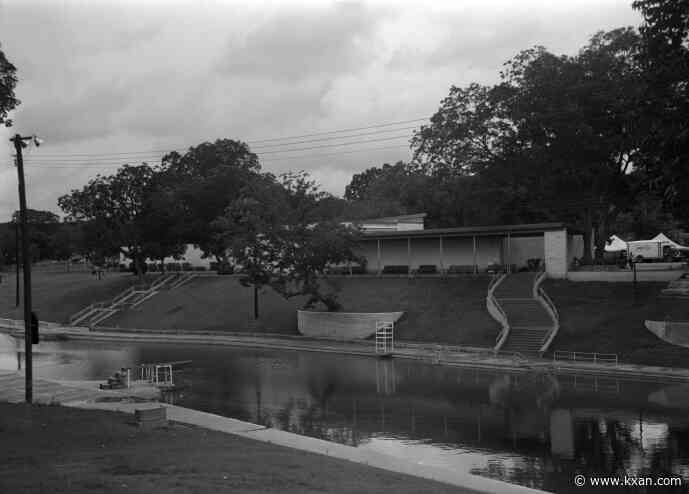 City of Austin considers future of popular pecan tree 'Flo'