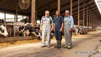 This 76-year-old Hamilton dairy farm is 'moo'-ving into the future by bringing back milk delivery