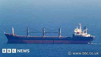 First grain ships arrive in Ukraine using new route