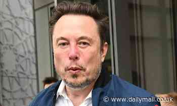 'Free speech absolutist' Elon Musk 'in early talks' to open Tesla factory in Saudi Arabia - where man was sentenced to death last month for tweeting negatively about regime