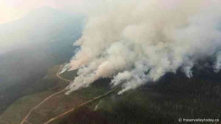Gusty winds complicate B.C. wildfire fight, but human-caused blazes also a factor
