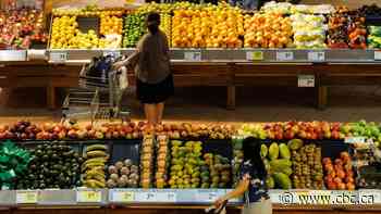 Minister says Canada's largest grocery chains have agreed to 'work' on stabilizing food prices