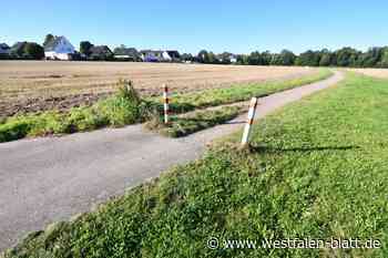 Bad Oeynhausen: Stadt will Bauland für junge Familien vermarkten