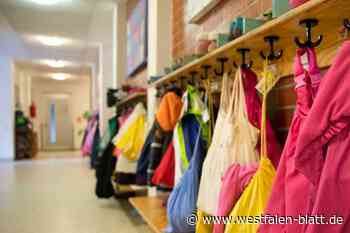 Kita-Portal „Little Bird“ startet in Salzkotten und Lichtenau