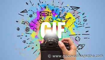 What Is the History of the GIF?