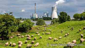 M&A-Markt: Wenige M&A-Deals im Sommer – Hoffnung auf mehr Dynamik im Winter