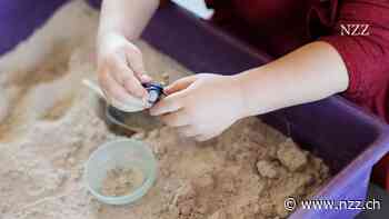 Kleine Kinder schreien, wenn etwas nicht nach ihrem Plan geht. Flexibel zu sein, muss ihr Hirn erst noch lernen – mit der Hilfe der Erwachsenen