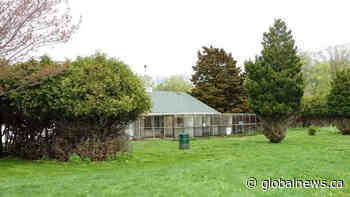 Hamilton aviary on course to shut down as volunteers seek to re-home birds