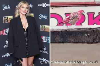 Helen Flanagan confused after spotting pink pigeon