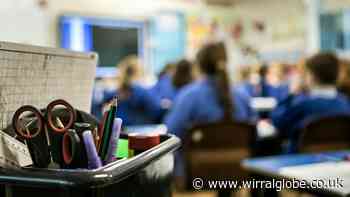 Website launches to help children with special educational needs