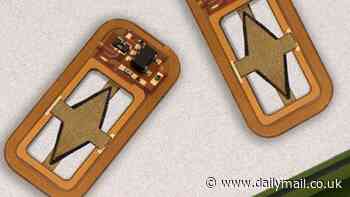 Diabetics could go needle-free thanks to new implantable device that slowly releases insulin when needed