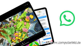 WhatsApp kommt endlich aufs iPad