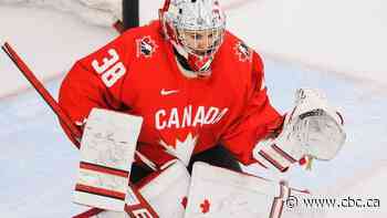 Professional Women's Hockey League draft eyes Alberta top talent, inspires minor hockey players
