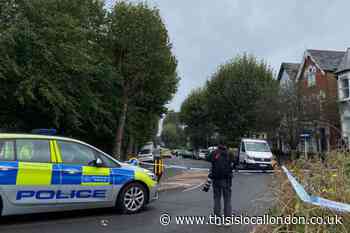 Man dies after Upper Tollington Park stabbing