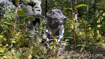 K9 teams train to assist conservation officers