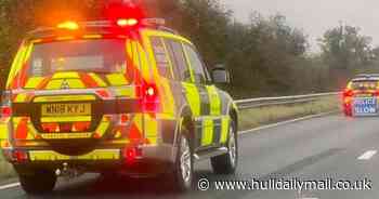 Woman who tragically died on A63 was hit by lorry, police say