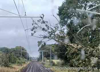 Trains cancelled between Preston and Blackpool due to fallen tree