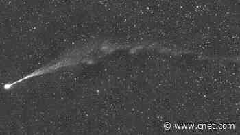 Comet Nishimura Survives Brush With the Sun and Enters Evening Sky     - CNET