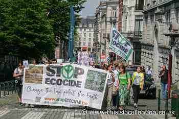 Camden Council backs criminalising ecocide after UCL professor's plea