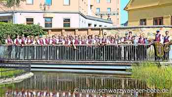 Stadtkapelle Haiterbach: Beim böhmischen Musikantentreffen in Tschechien