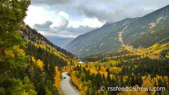 9 drives where you can see yellow fall colors in Colorado