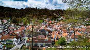 Orts-Check im Kreis Calw: Umfrage reißt die 1000er-Marke
