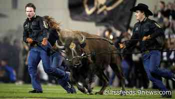 Here's how many people watched a record-setting Rocky Mountain Showdown