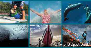 Dive into the Ocean Film Festival in Bristol