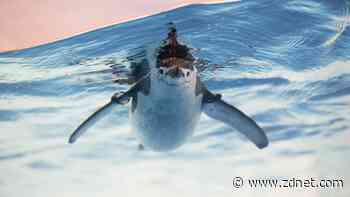 Long-term support for Linux kernel to be cut as maintainence remains under strain