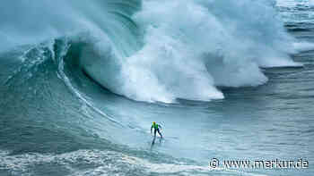 Mann geht mit Python surfen und muss Strafe bezahlen – welche exotischen Tiere dürfen Deutsche halten?