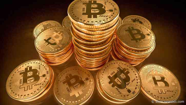 Bitcoin HODLers Not Selling, Will Number Break Record Highs?