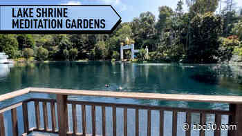 Lake Shrine and Meditation Gardens is a hidden gem and retreat from city life