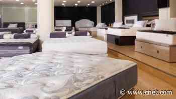 How to Choose Between the 5 Most Popular Mattress Types     - CNET