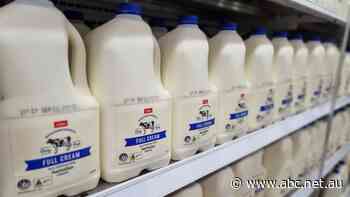 Why Coles has 'reluctantly' raised the price of its milk this week